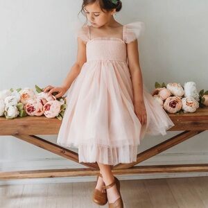 The Indie Blue Juliet Dress Blush Tulle